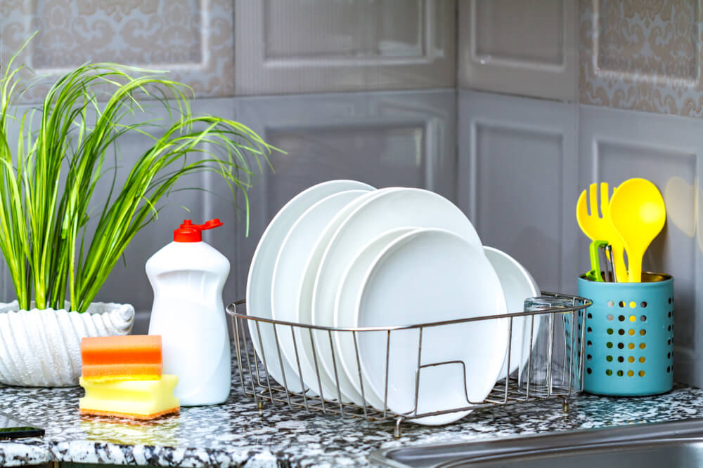 Dish Washing - Domestic Household Assistance